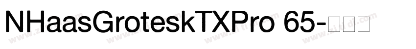 NHaasGroteskTXPro 65字体转换